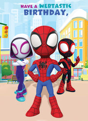 Standard Card Preview