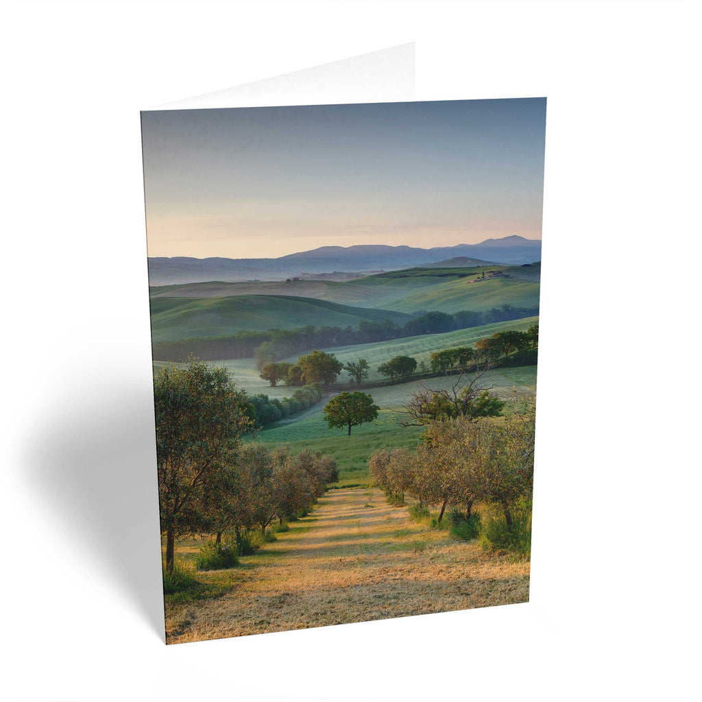 Traditional Scenic Countryside