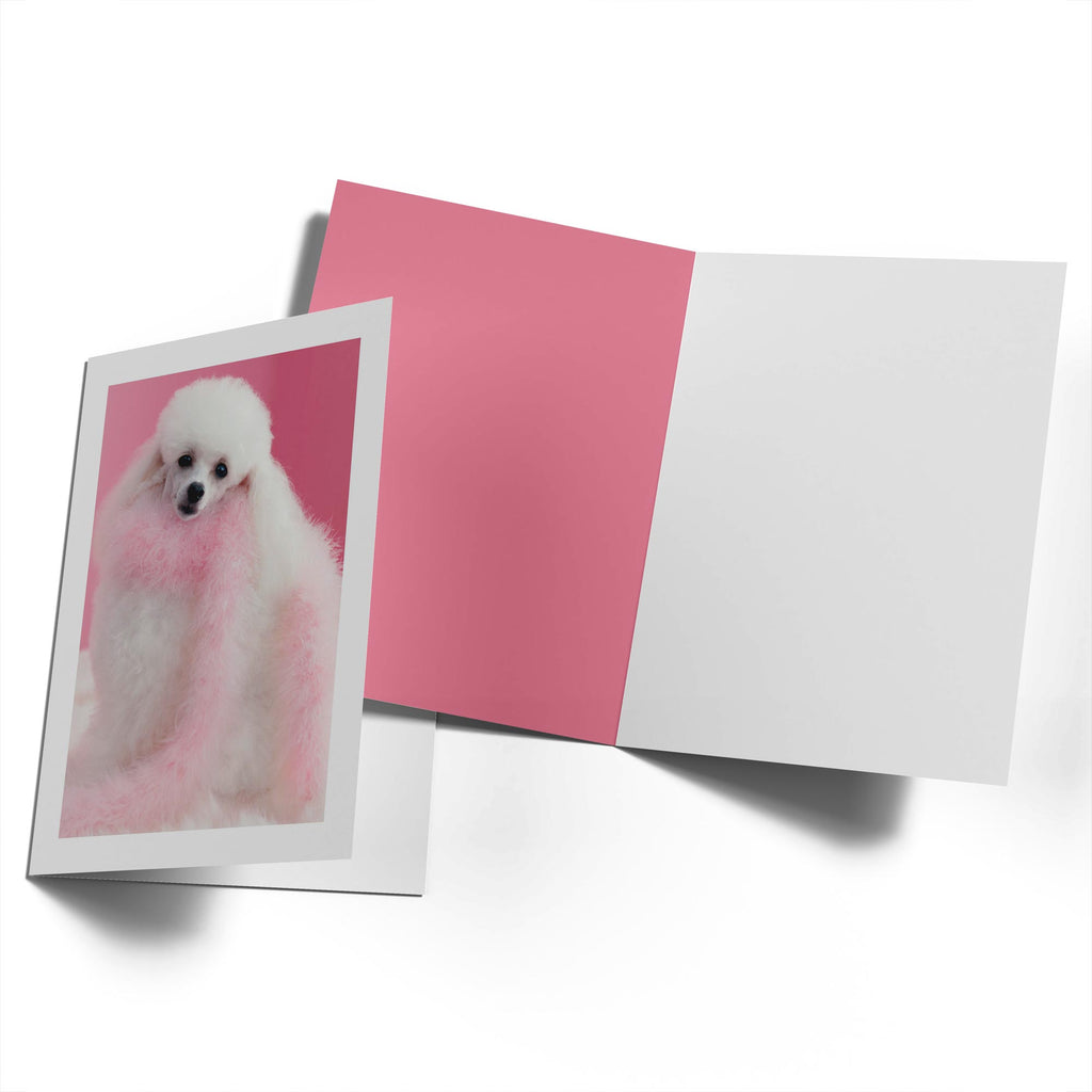 Funny Birthday Editable Poodle Diva Photo