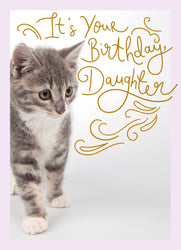 Standard Card Preview