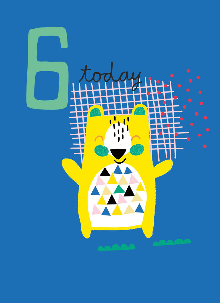 Cute Colourful Bear Custom 6th Birthday